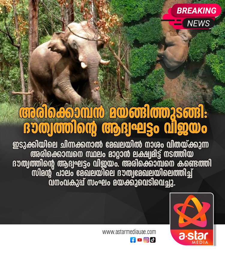 അരിക്കൊമ്പൻ മയങ്ങിത്തുടങ്ങി: ദൗത്യത്തിന്റെ ആദ്യഘട്ടം വിജയം